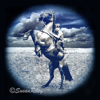 trick pony