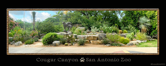 CougarCanyon