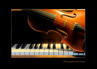 violin