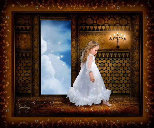 The Window