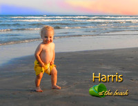 Harrisbookcover