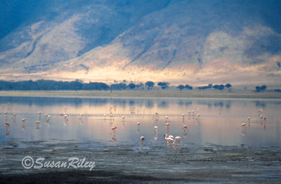Ngorongoro crater #2a