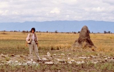 Me-termite hill2