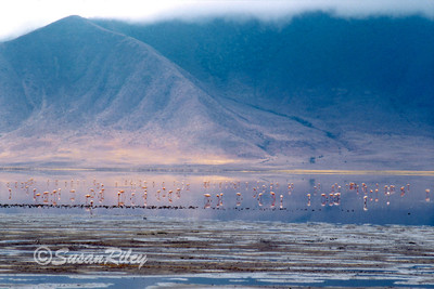 Ngorongoro crater2