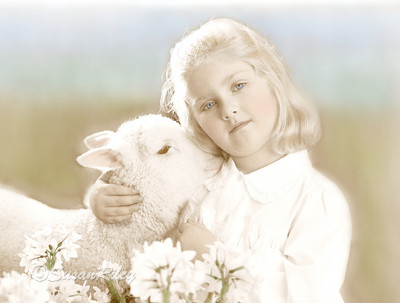 little lamb