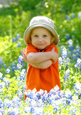 bluebonnets